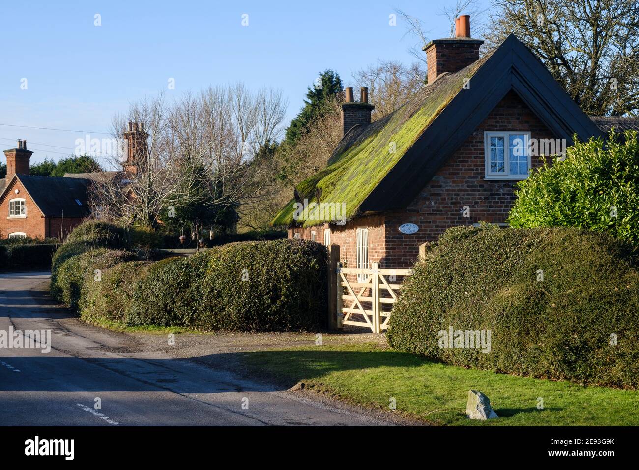 Muschio verde che cresce su un tetto di paglia, Oscaston, Derbyshire Foto Stock