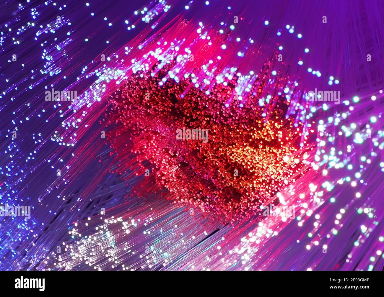 Fibra ottica cavo di rete Foto Stock
