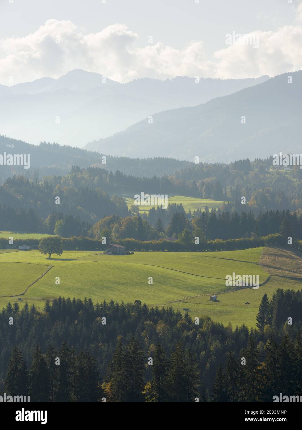 Paesaggio ai piedi delle Alpi Bavaresi, vista verso le Alpi Ammergau (Alpen Ammergauer). Europa, Germania, Baviera Foto Stock