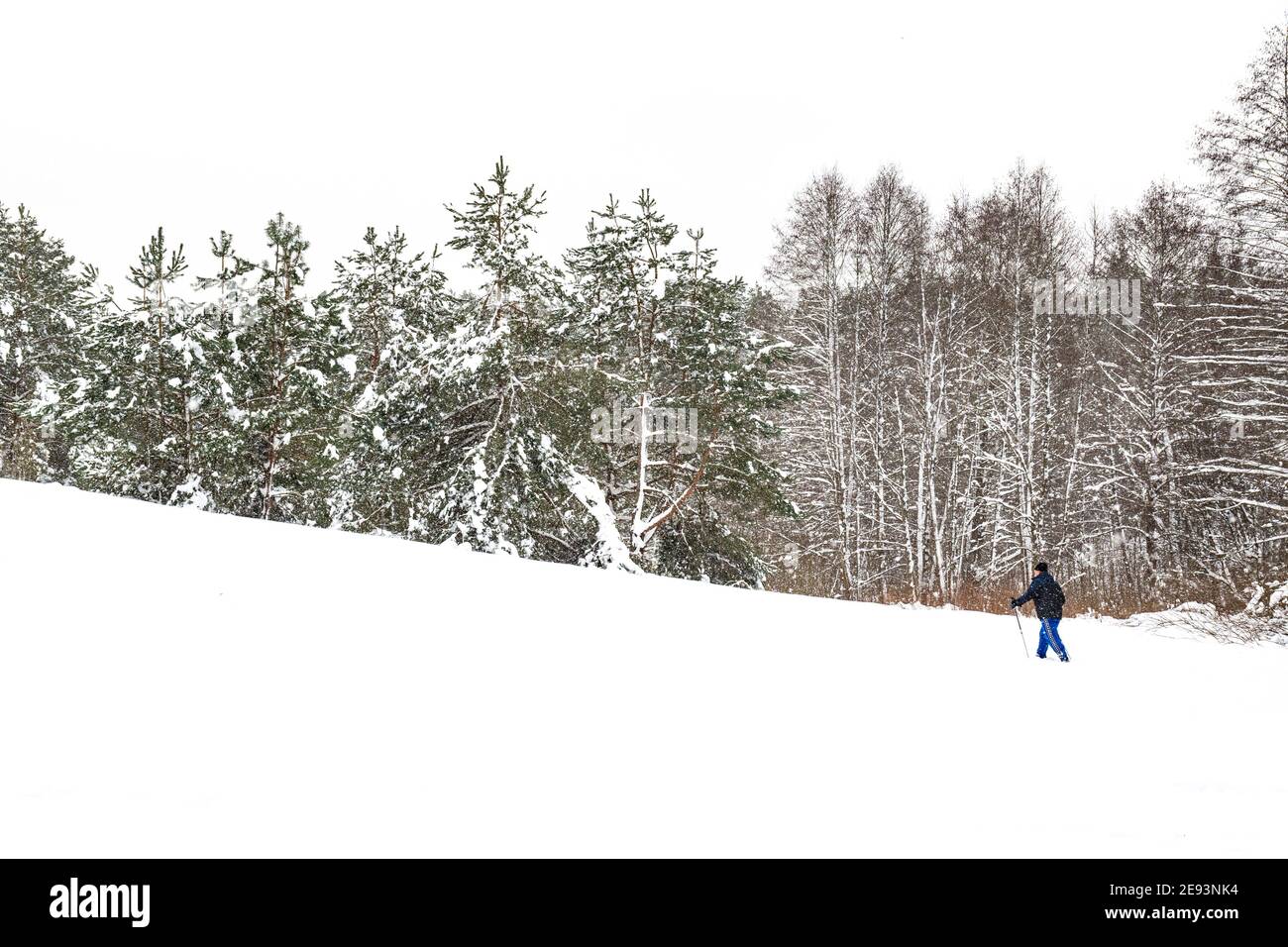Sciatore uomo o ragazzo sci di fondo su una pista in splendido paesaggio invernale delle meraviglie in Lituania in inverno, foresta, sport all'aperto, sano Foto Stock