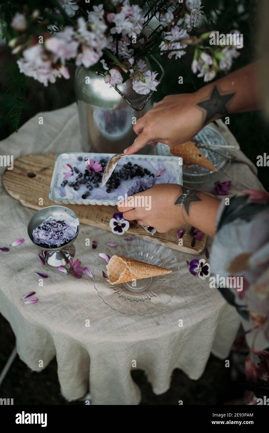 Le mani delle donne tengono il piatto con gelato al mirtillo Foto Stock