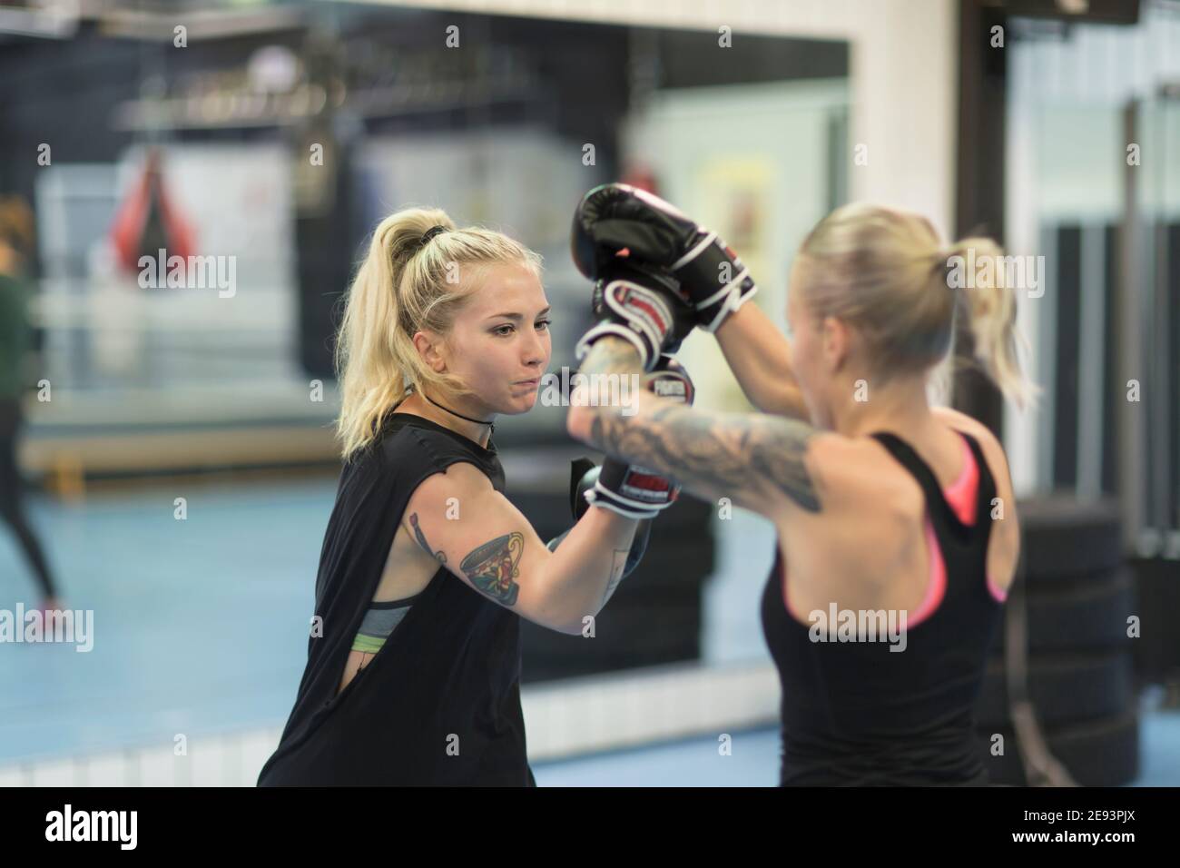 Due donne che praticano arti marziali in palestra Foto stock - Alamy