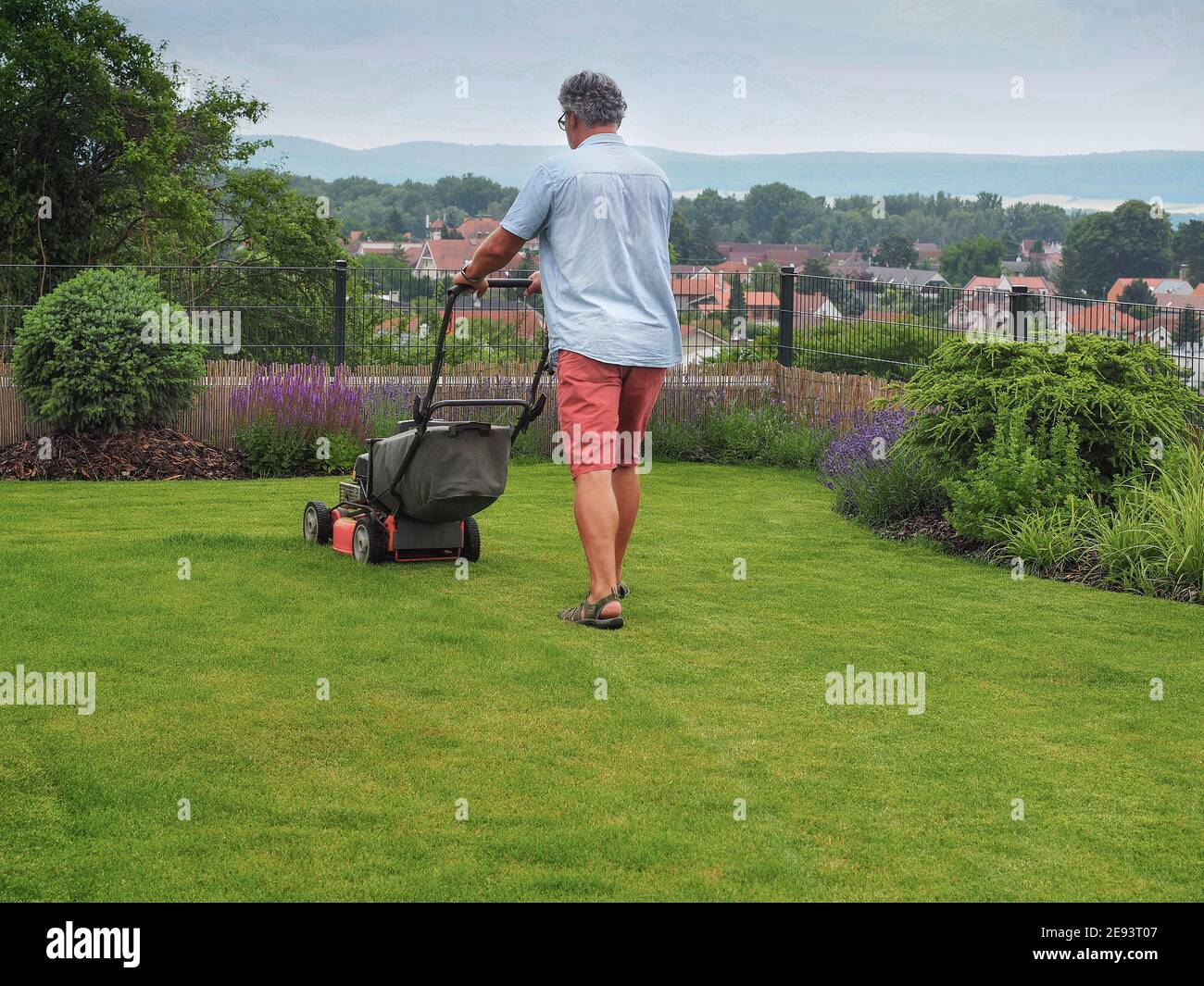 Uomo che taglia l'erba verde da tosaerba in giardino. Taglierina a benzina  Foto stock - Alamy