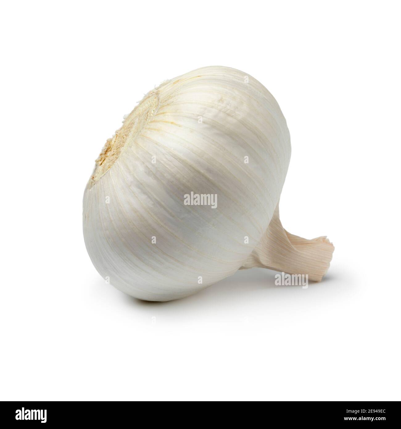 Singola bulbo bianco intero all'aglio isolato su sfondo bianco Foto Stock