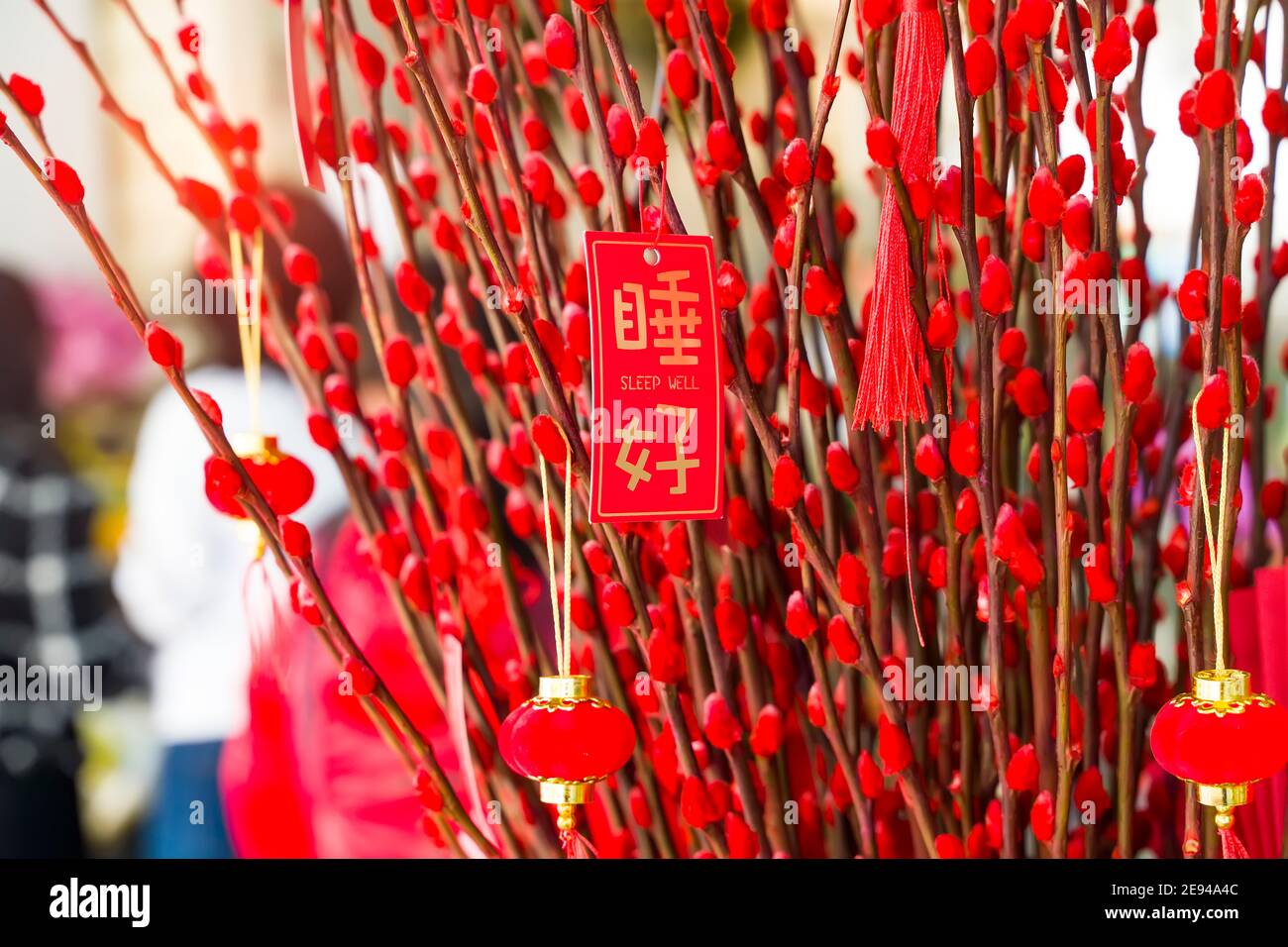 Fortunato nodo appeso sul fiore per il saluto cinese di nuovo anno, cinese carattere significa dormi bene per il nuovo anno Foto Stock