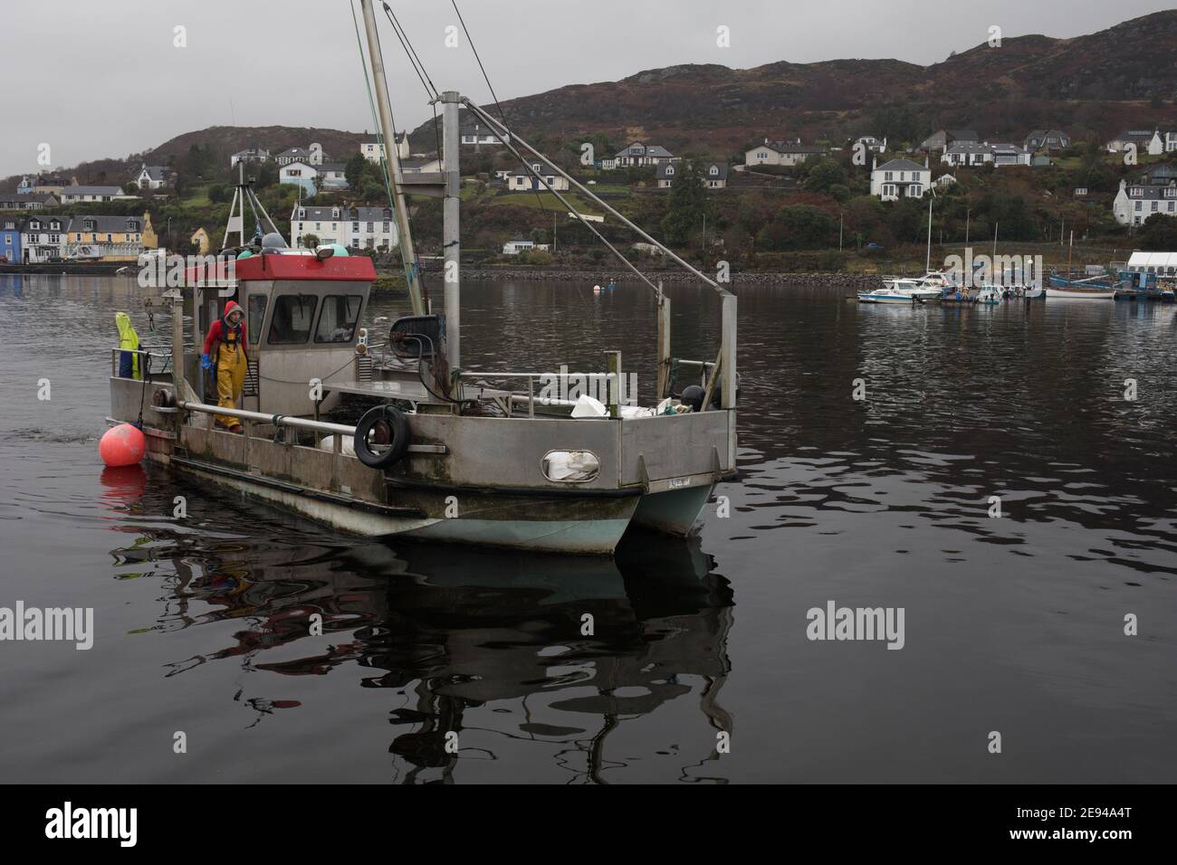 Personale di Loch Fyne Seafarms, pesca di capesante, aragoste e lagostine, per la spedizione a clienti nel Regno Unito, in Europa e in Asia, a Tarbert, Argyllshire, Scozia, Regno Unito, 11 dicembre 2020. Il proprietario Jamie McMillan teme che la Brexit possa causare indicibili difficoltà e complicazioni per le sue attività di esportazione di prodotti vivi. Foto Stock