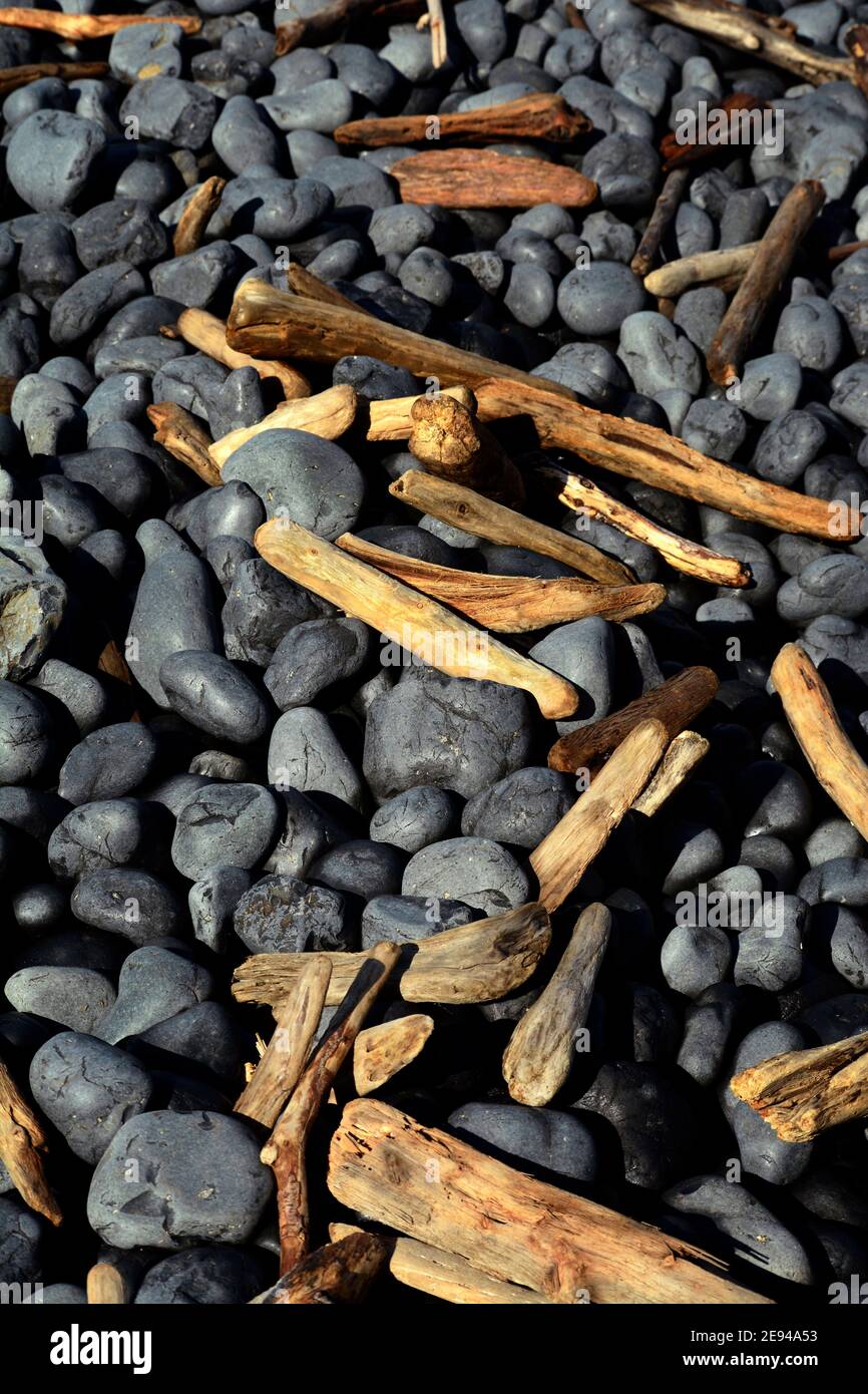 Piccoli pezzi di driftwood mescolati con rocce indossate liscio dalle onde costanti e surf su una spiaggia vicino Newport, Oregon. Foto Stock