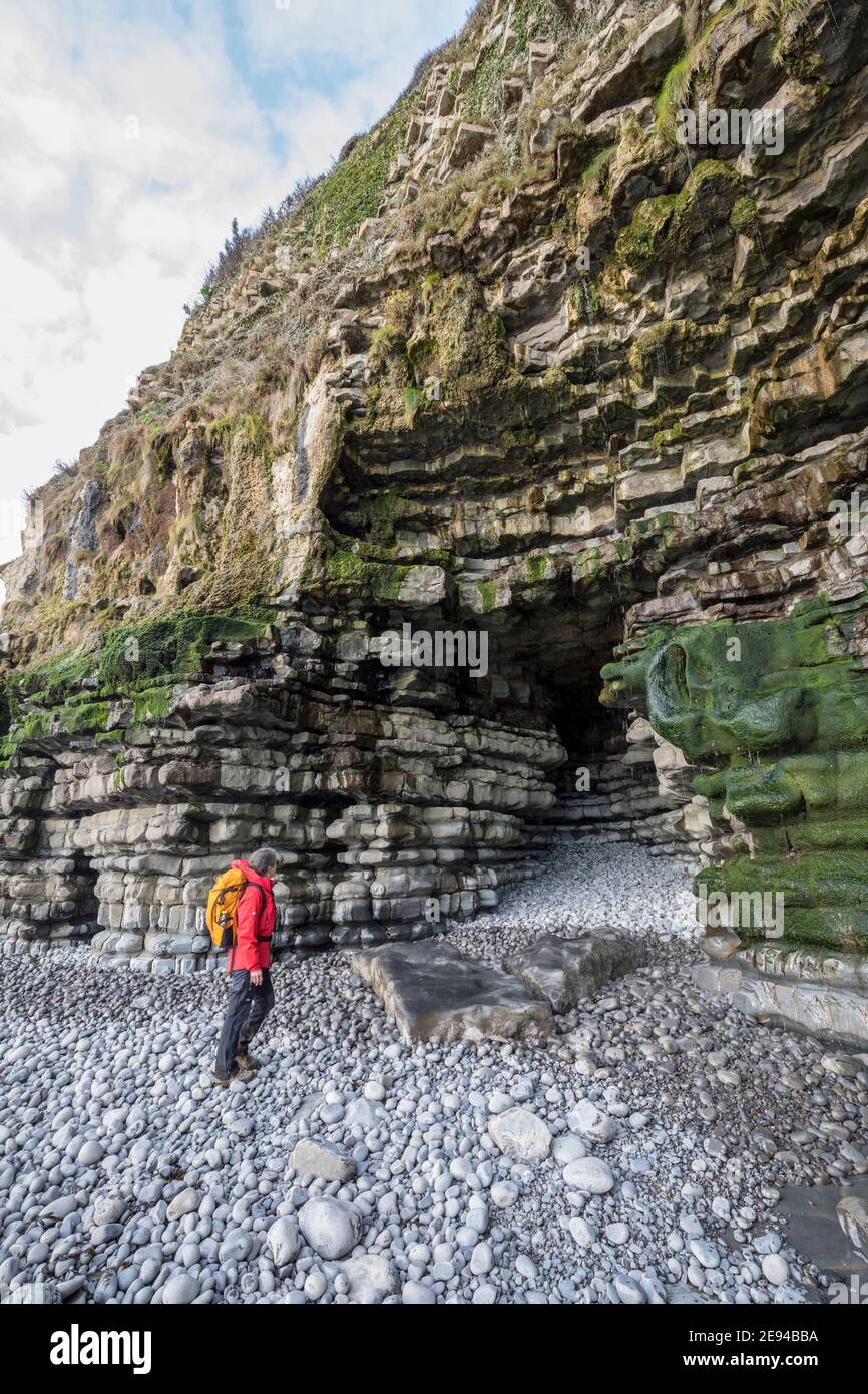 Font-y-Gary Cave, una grotta costiera sul mare nelle scogliere vicino a Fontygary ad Aberthaw, Galles, Regno Unito Foto Stock