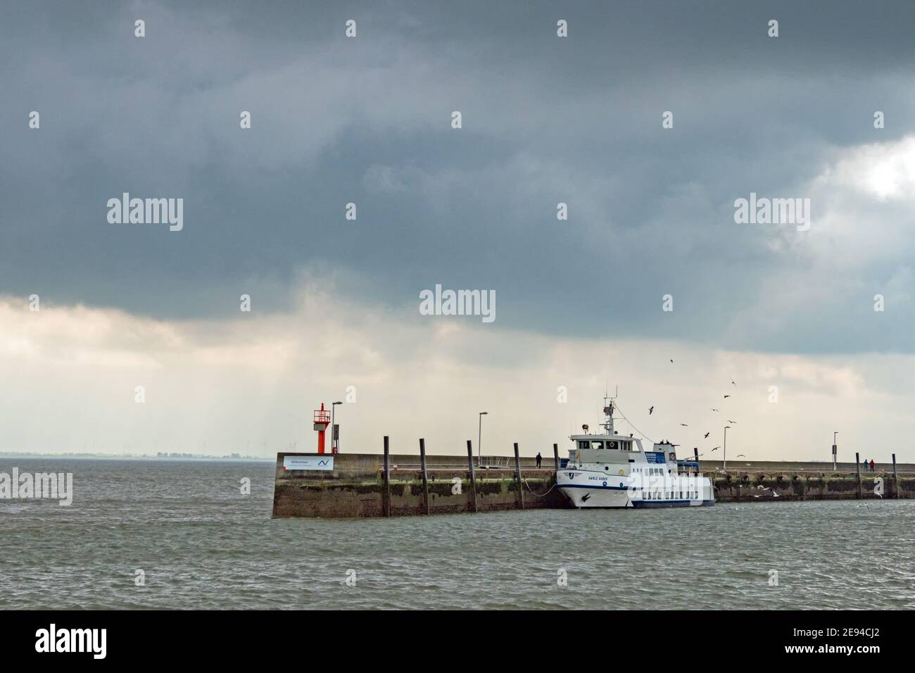 Wilhelmshaven, bassa Sassonia, Germania - 2 maggio 2019: Nave da crociera Harle Kurier nel porto di Wilhelmshaven Foto Stock