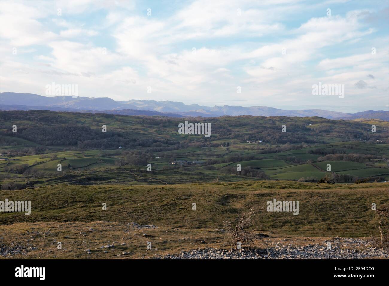Vista sulla Lyth Valley Cumbria guardando a ovest da Scout Scar verso le campane del Lake District National Park. Foto Stock