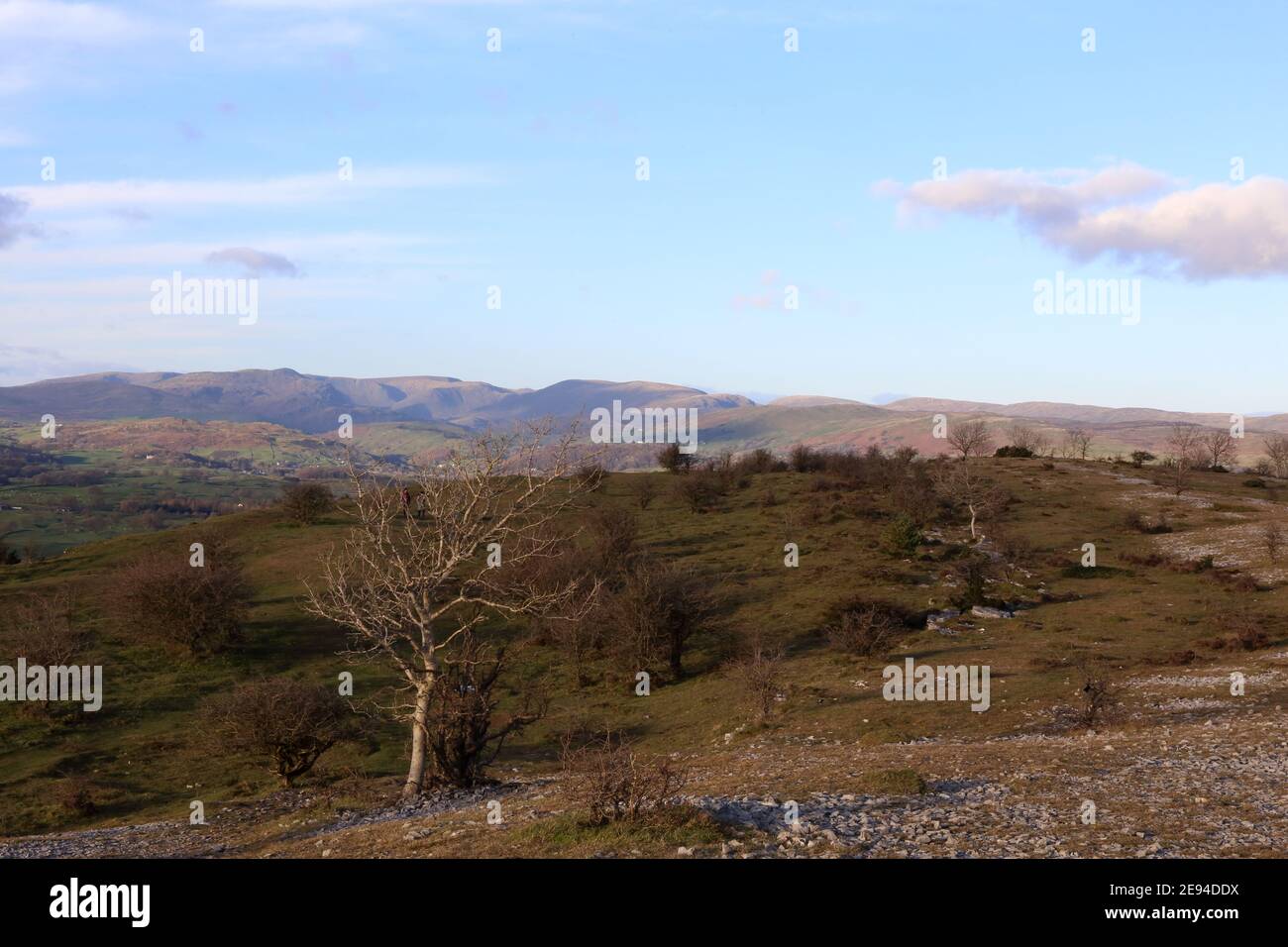 Guardando a nord. Vista da Scout Scar, Cumbria, Regno Unito guardando a nord fino al Lake District Fells intorno a High Street. Foto Stock