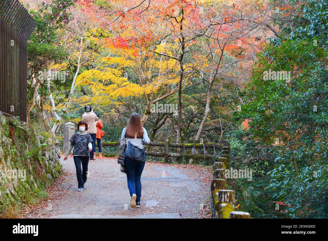MINOH, GIAPPONE - 22 NOVEMBRE 2016: La gente visita Meiji no Mori Mino quasi-Parco Nazionale vicino Osaka, Giappone. Il parco è noto per il suo spettacolare autunno Foto Stock