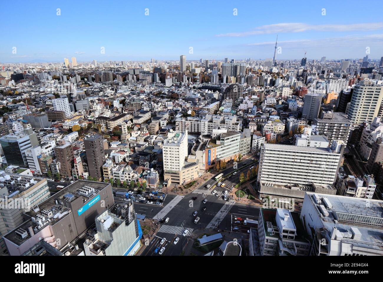 TOKYO, GIAPPONE - 29 NOVEMBRE 2016: Veduta aerea di Bunkyo Ward a Tokyo. Tokyo è la capitale del Giappone. 37.8 milioni di persone vivono nella sua area metropolitana. Foto Stock