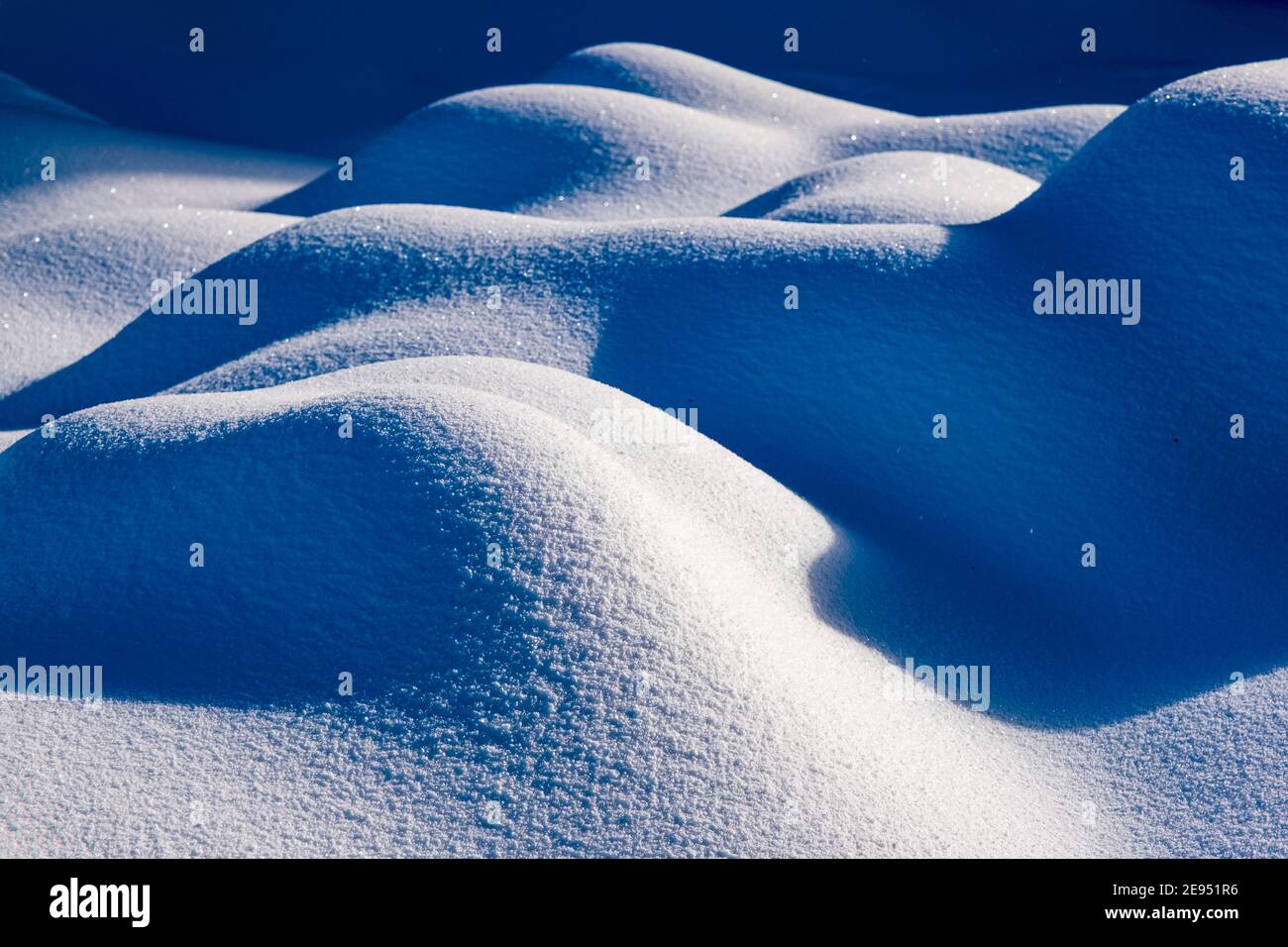 Paesaggio invernale con piccoli pini coperti di neve in una giornata di sole sulle montagne ore. Foto Stock