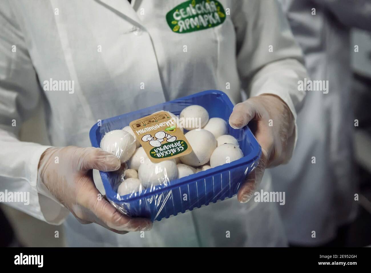 Mosca, Russia - 14 maggio 2019: Fattoria di funghi. Un sacco di funghi. Fattoria di funghi. Un sacco di funghi. Foto Stock