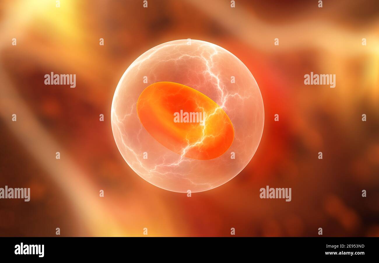 Eritrociti con membrana nanosintetica, illustrazione 3D Foto Stock