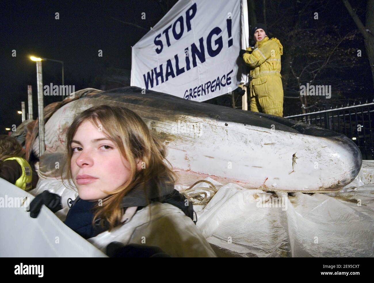 Gli attivisti di Greenpeace protestano con una balena morta lunga 17 metri di fronte all'ambasciata giapponese a Berlino, in Germania, il 18 gennaio 2006. La protesta, con una scritta "balena senza senso", è stata fatta perché l'Agenzia per la pesca del Giappone dice "lavoro scientifico" è il motivo della balenata che si sta svolgendo nell'Oceano Meridionale. La balena è stata trovata morta di fame nel Mar Baltico e sarà portata al Museo Oceanico di Stralsund dopo l'azione. Foto di Paul Langrock/Zenit/Greenpeace/ABACAPRESS.COM Foto Stock