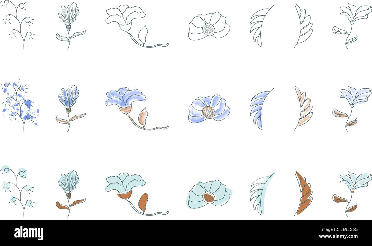 Set di contorni botanici doodles. Gli elementi grafici astratti del disegno a linea continua sono trasparenti e con acquerello Illustrazione Vettoriale