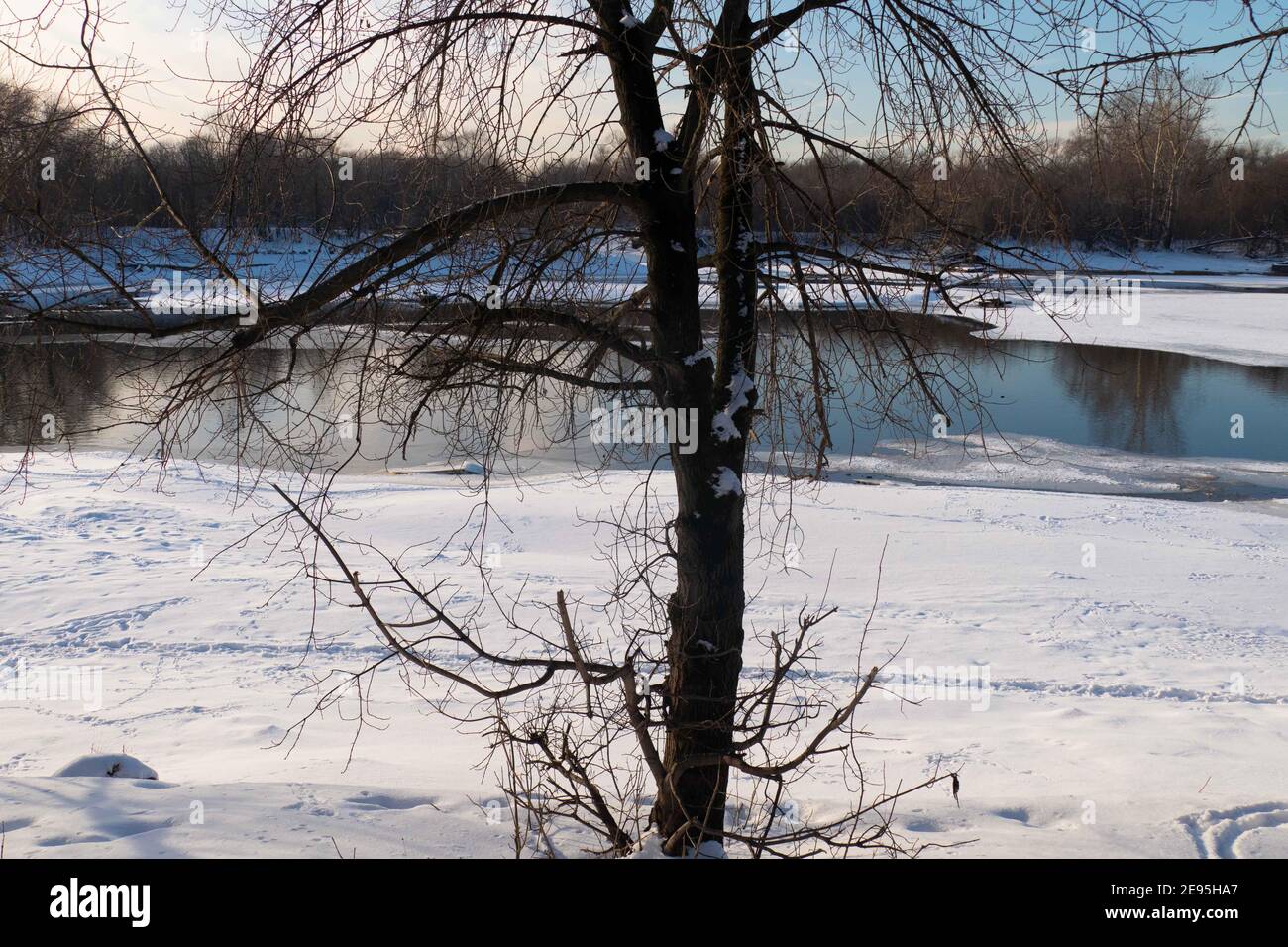 Paesaggio invernale con fiume, albero e sole 2021 Foto Stock