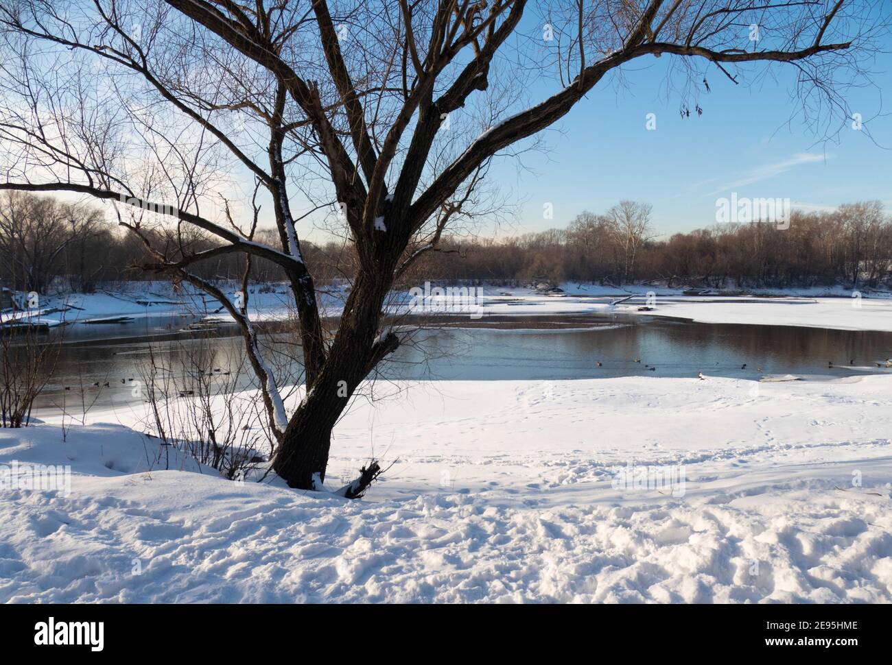 Paesaggio invernale con fiume, albero e sole 2021 Foto Stock