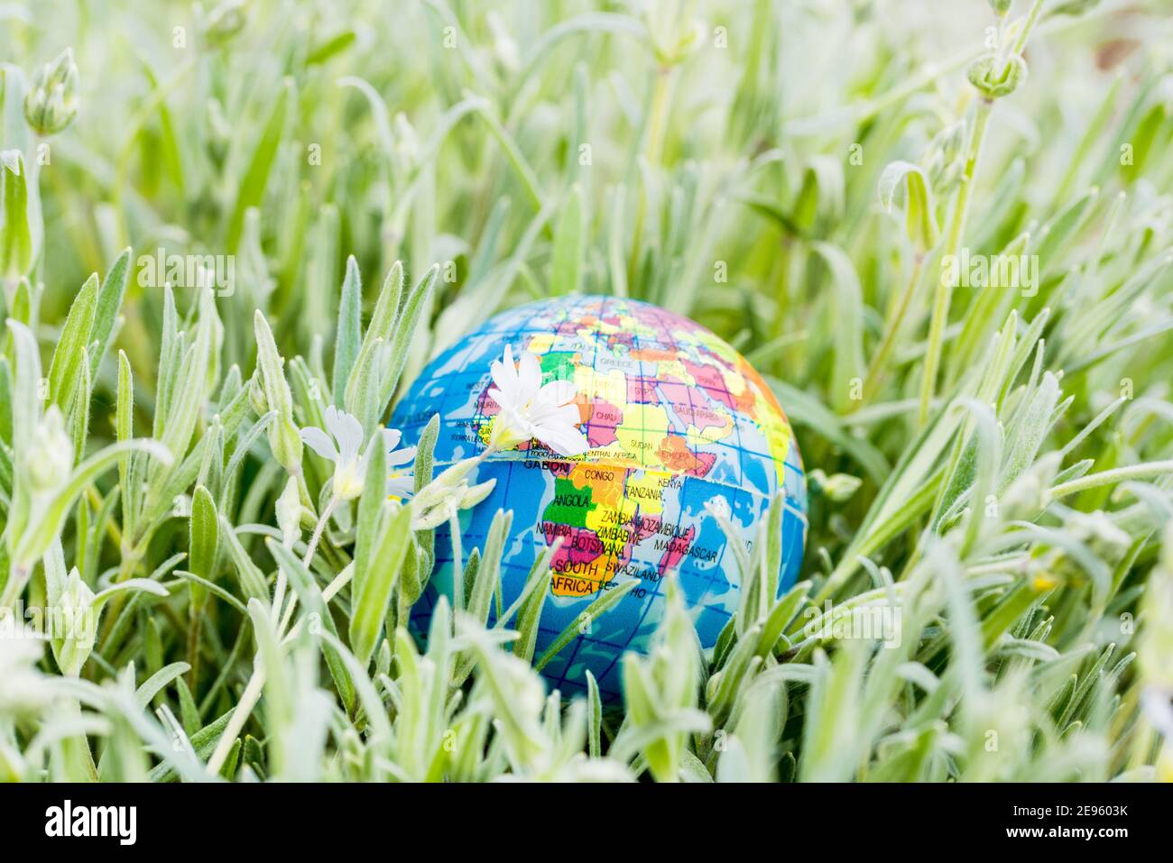 Terra globo sull'erba. Salvare la natura. Ambiente. Aprile 22 tema giorno della terra. Giorno d'estate, concetto di ecologia e salvare il pianeta. Foto Stock