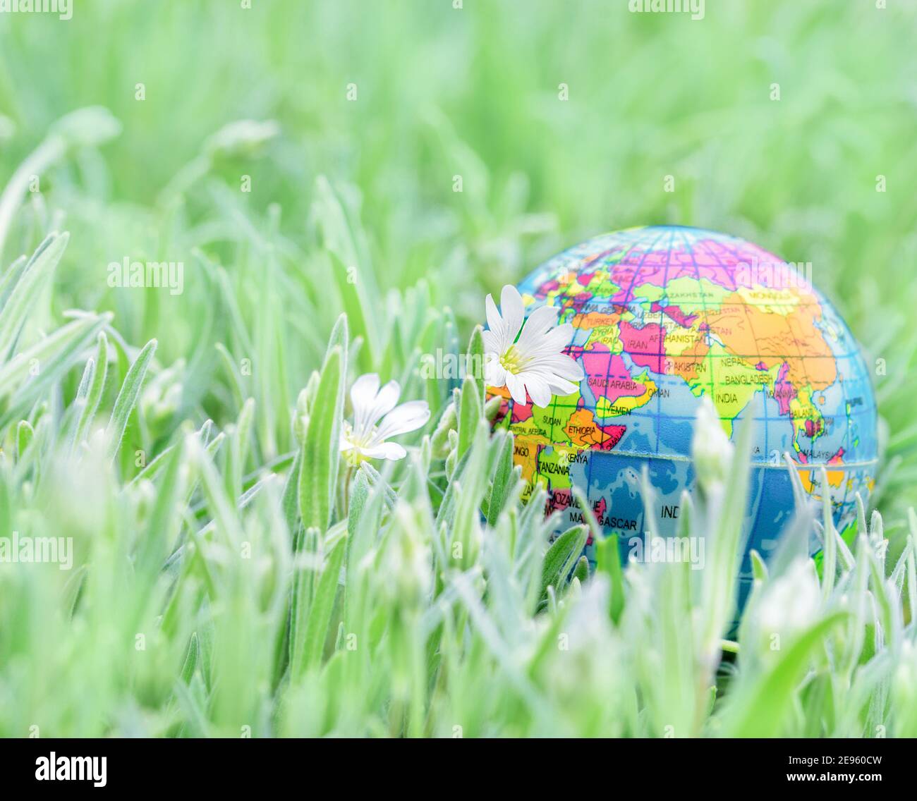 Terra globo sull'erba. Salvare la natura. Ambiente. Aprile 22 tema giorno della terra. Giorno d'estate, concetto di ecologia e salvare il pianeta. Foto Stock