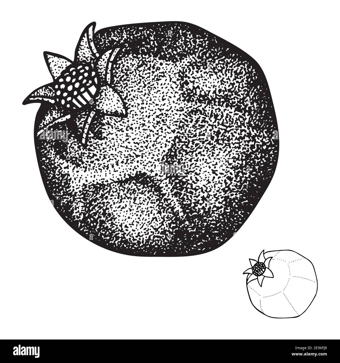 Illustrazione vettoriale dello stile di incisione della melograna. Disegno vintage in melograno isolato su sfondo bianco. Schizzo di melograno disegnato illustri Illustrazione Vettoriale