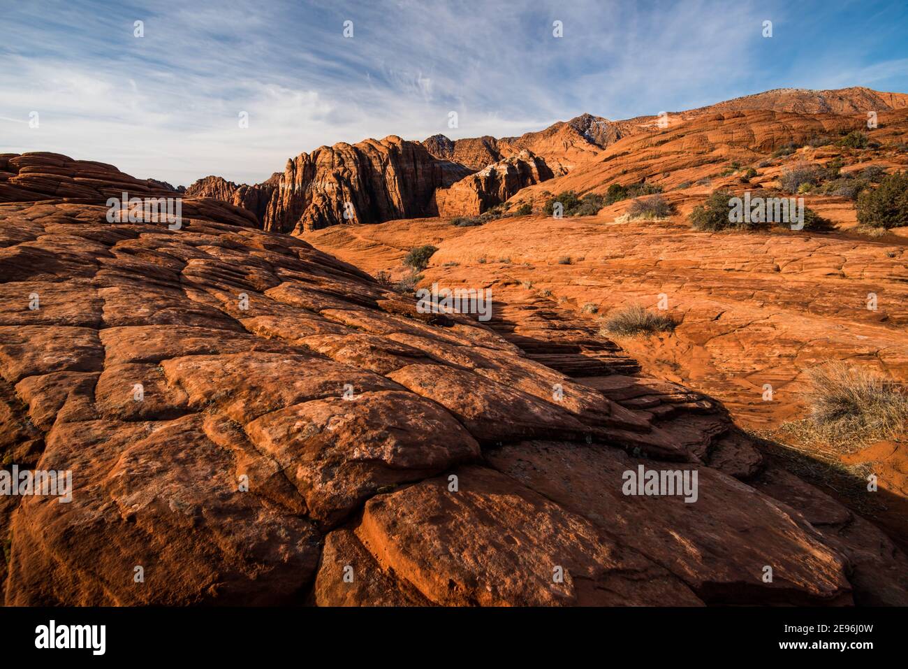 Le texture e i modelli delle dune di sabbia pietrificate nello Snow Canyon state Park, Utah, USA. È conosciuta per le sue dune di sabbia pietrificata e le formazioni rocciose. Foto Stock