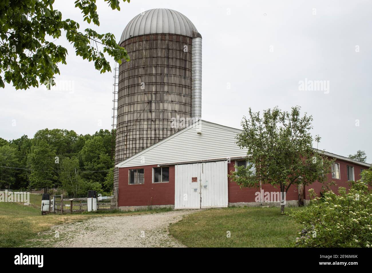 Lo scopo qui è quello di preservare una fattoria attiva, in modo che i visitatori possano sperimentare collegamenti interattivi con il passato agricolo del New Hampshire. Animali, hi Foto Stock