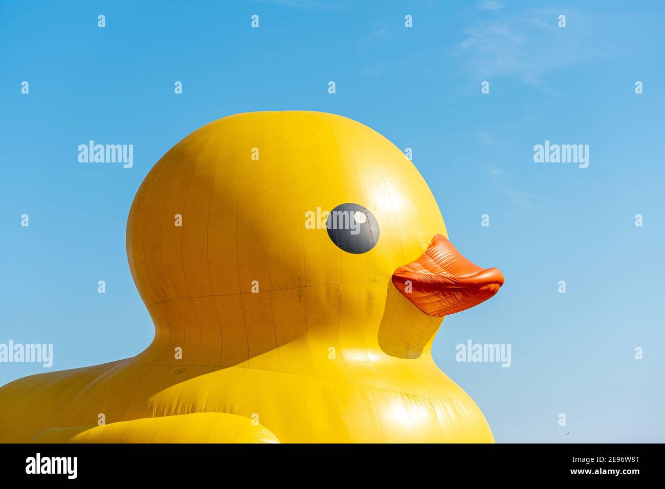 Giant Rubber Duck per celebrare il 150° anniversario del Canada, Toronto, Canada - 30 giugno 2017 Foto Stock