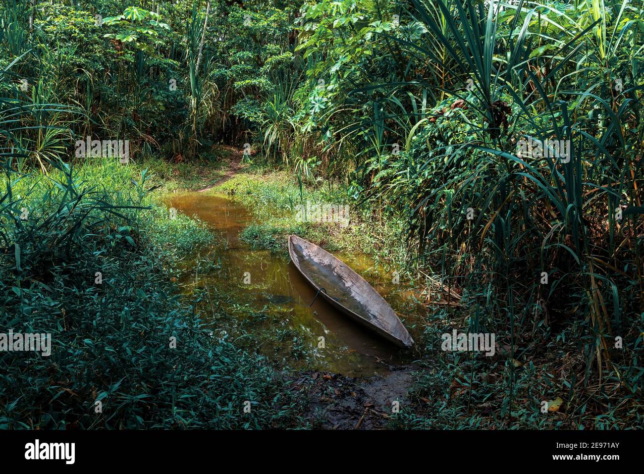 Barca in canoa lungo un sentiero escursionistico della foresta pluviale amazzonica, riserva naturale di Cuyabeno, Ecuador. Foto Stock
