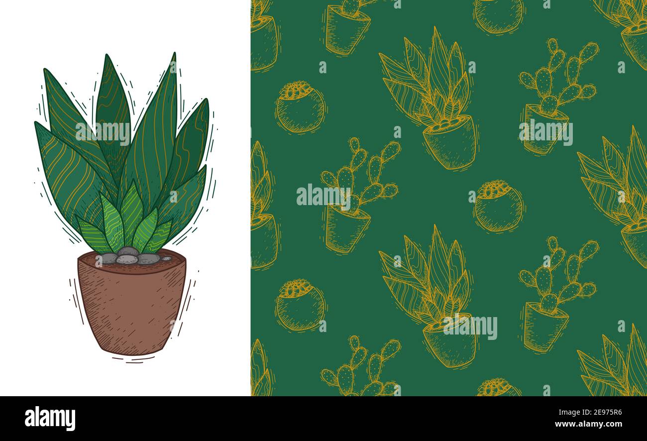 Pianta succulenta in una pentola di creta. Carta da parati con fiori di casa. Tessuto con cactus. Set di cartoline e modelli di doodle. Banner verticale e textu naturale Illustrazione Vettoriale