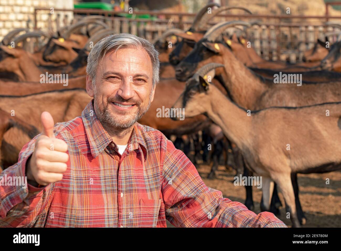 Sorridente agricoltore maturo con le sue capre in un recinto di animali all'aperto. Concetto di allevamento animale. Foto Stock