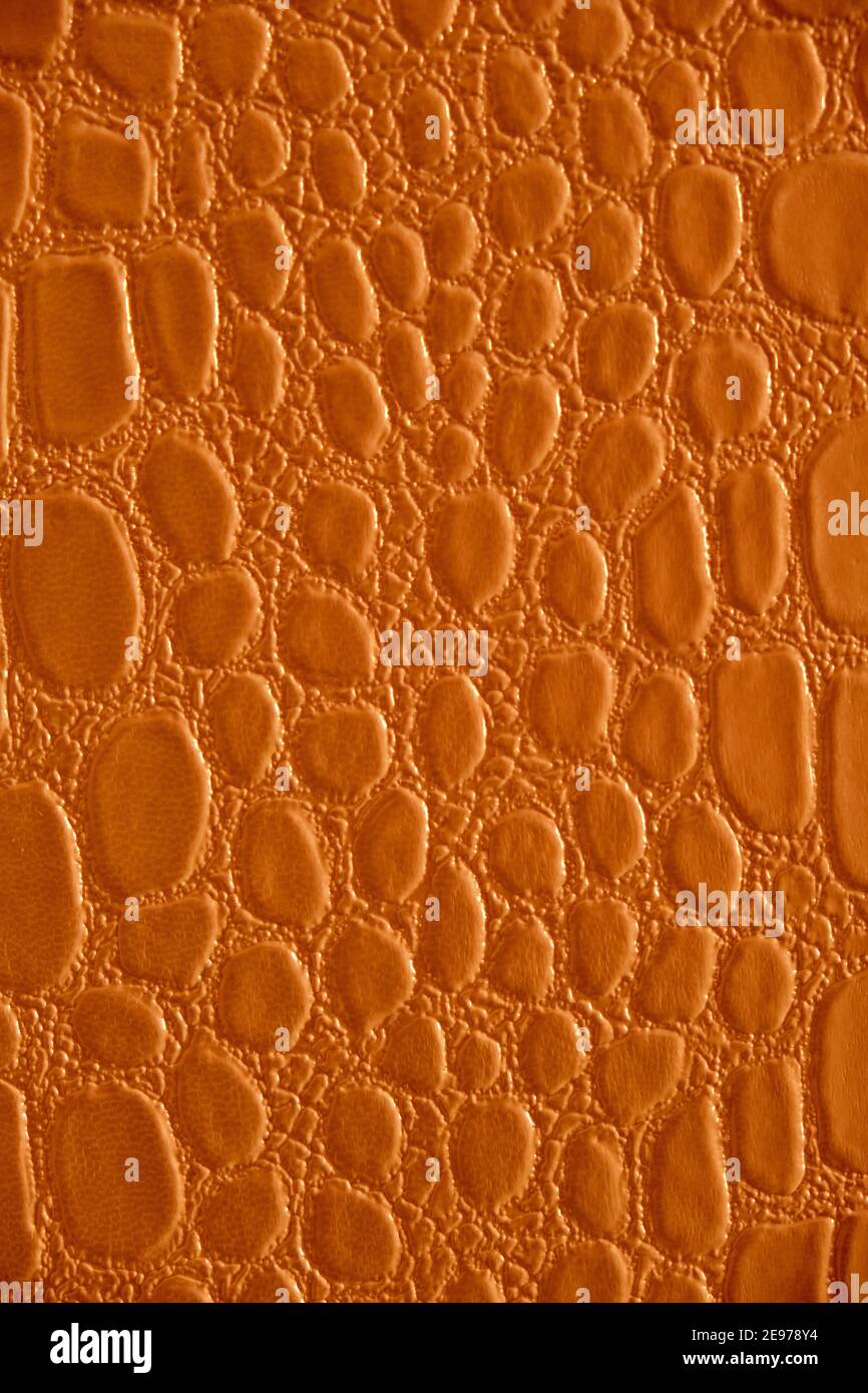 Sfondo astratto di pelle rettile verde. Foto Stock