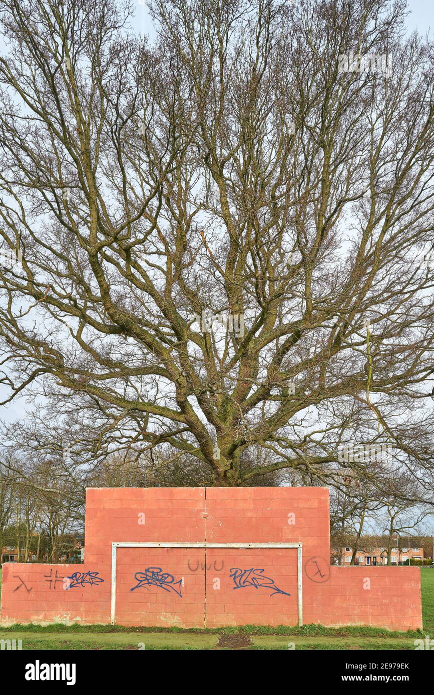 Posto di obiettivo di calcio fissato ad un muro dipinto di rosso di fronte ad un albero di quercia maturo in un parco a Corby, Inghilterra. Foto Stock