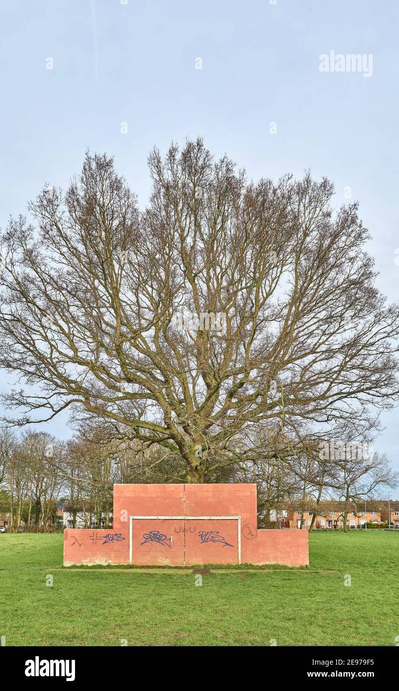 Posto di obiettivo di calcio fissato ad un muro dipinto di rosso di fronte ad un albero di quercia maturo in un parco a Corby, Inghilterra. Foto Stock