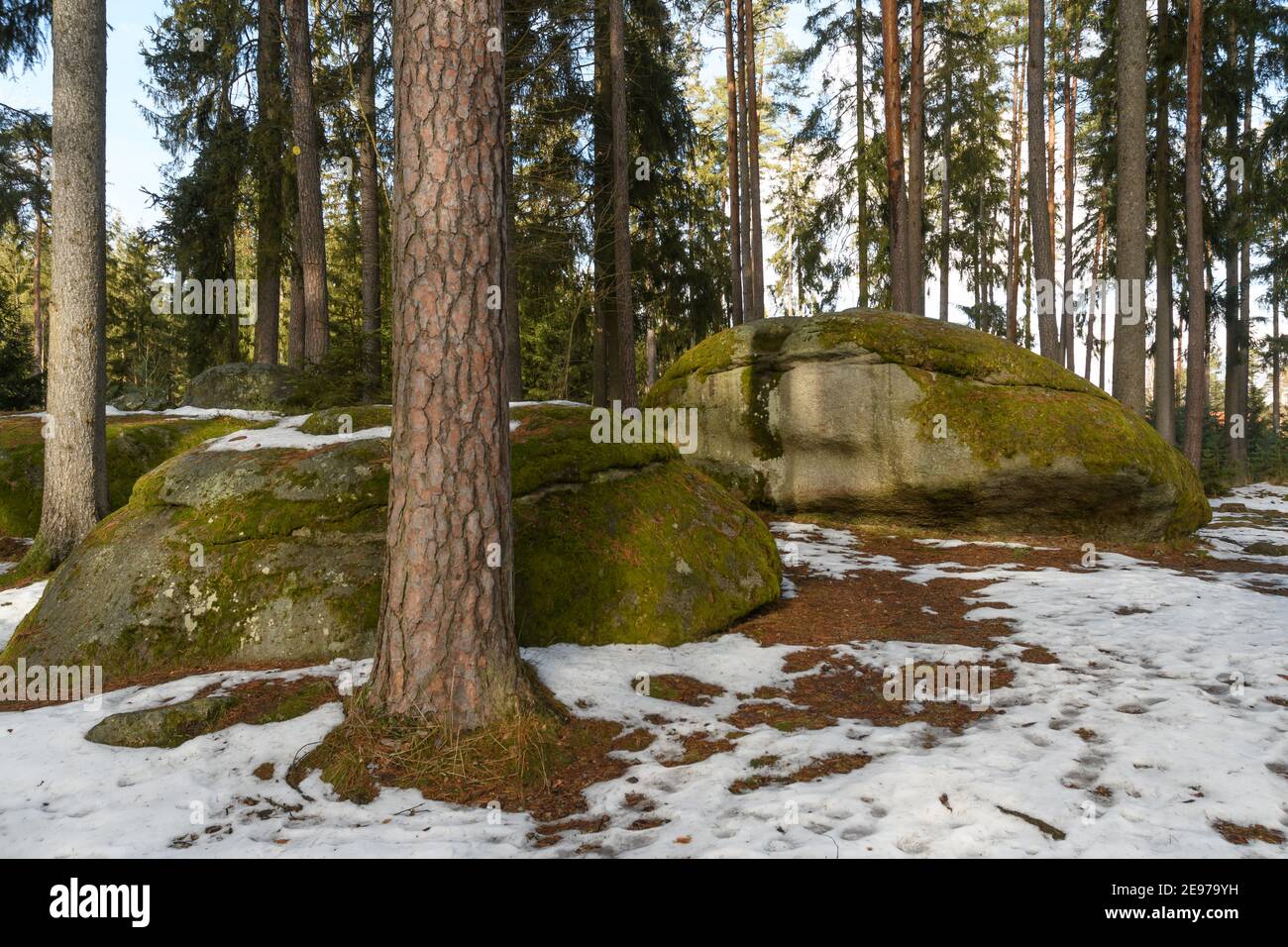 wobblestones vicino amaliendorf nella regione bassa austriaca waldviertel Foto Stock