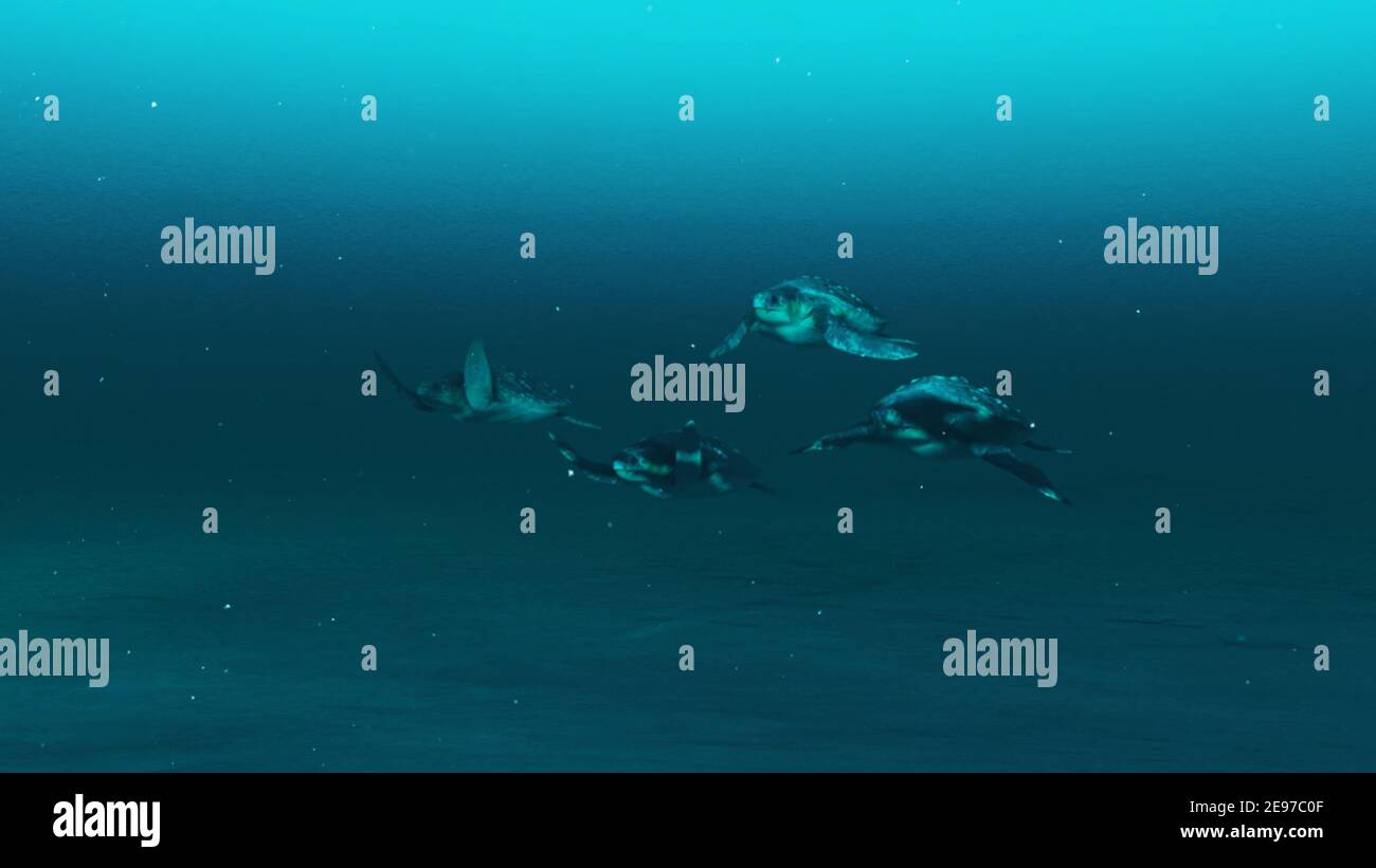 Gruppo di tartarughe che nuotano nelle acque blu profonde dell'oceano, scena sottomarina a lento movimento di tartarughe, bellezza della vita marina, rendering 4K di alta qualità.3D. Foto Stock