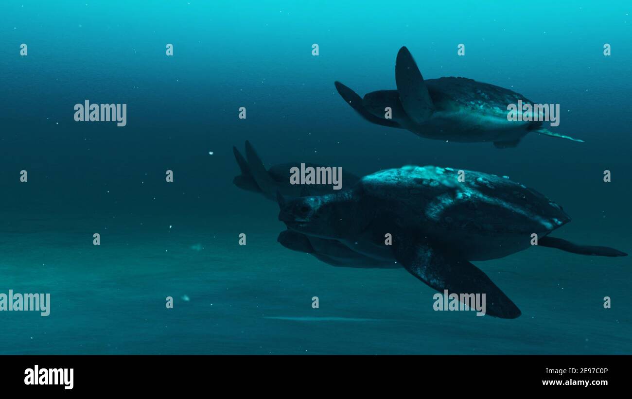Vista closeup delle tartarughe che nuotano nelle acque blu profonde dell'oceano, scena sottomarina a lento movimento delle tartarughe, bellezza della vita marina, 4K alta qualità.3D re Foto Stock