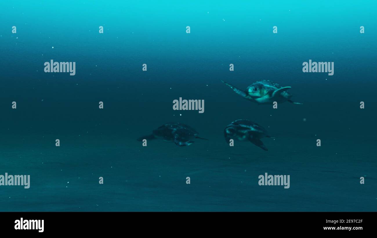 Tre tartarughe che nuotano nelle acque blu profonde dell'oceano, scena sottomarina a lento movimento di tartarughe, bellezza della vita marina, alta qualità 4K, rendering 3d. Foto Stock