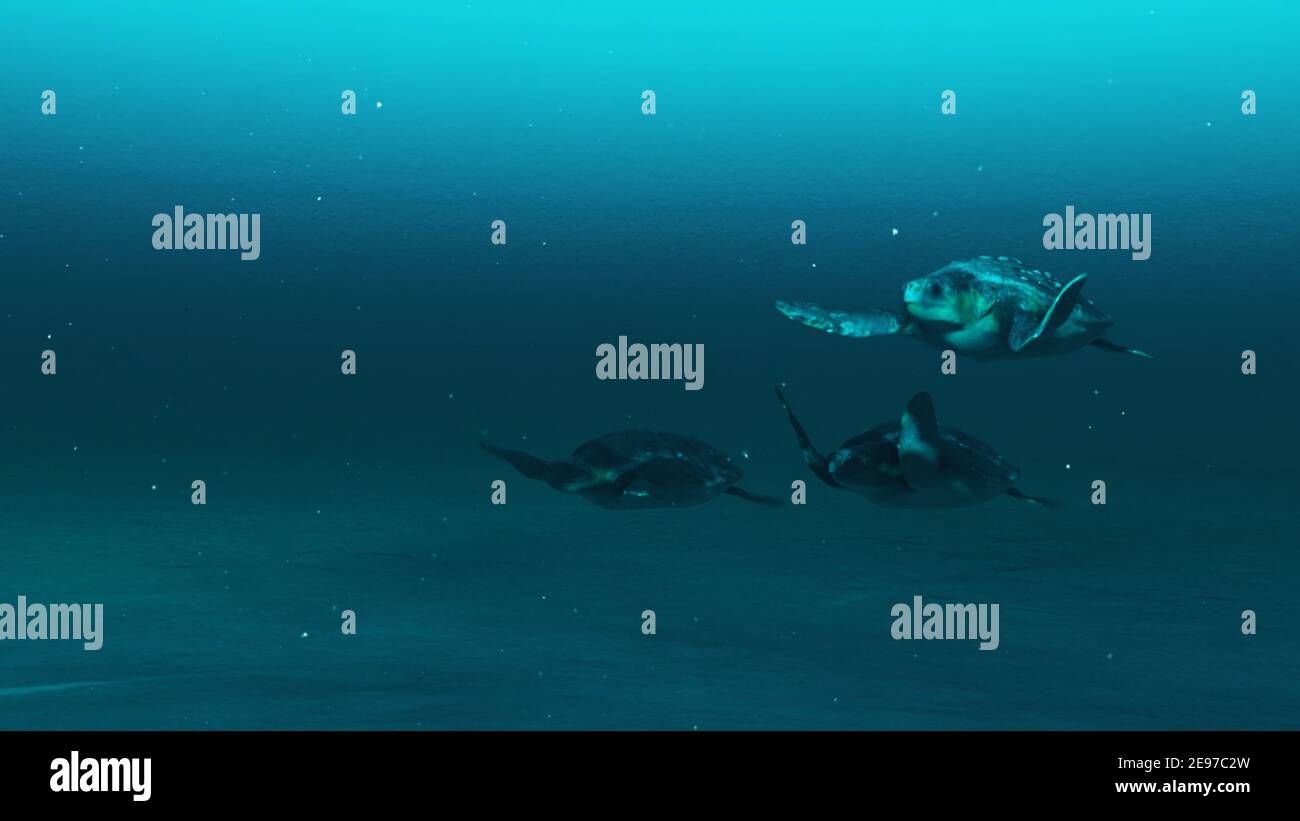 Closeup di tre tartarughe che nuotano nelle acque blu profonde dell'oceano, scena sottomarina a lento movimento di tartarughe, bellezza della vita marina, 4K alta qualità, 3D Foto Stock