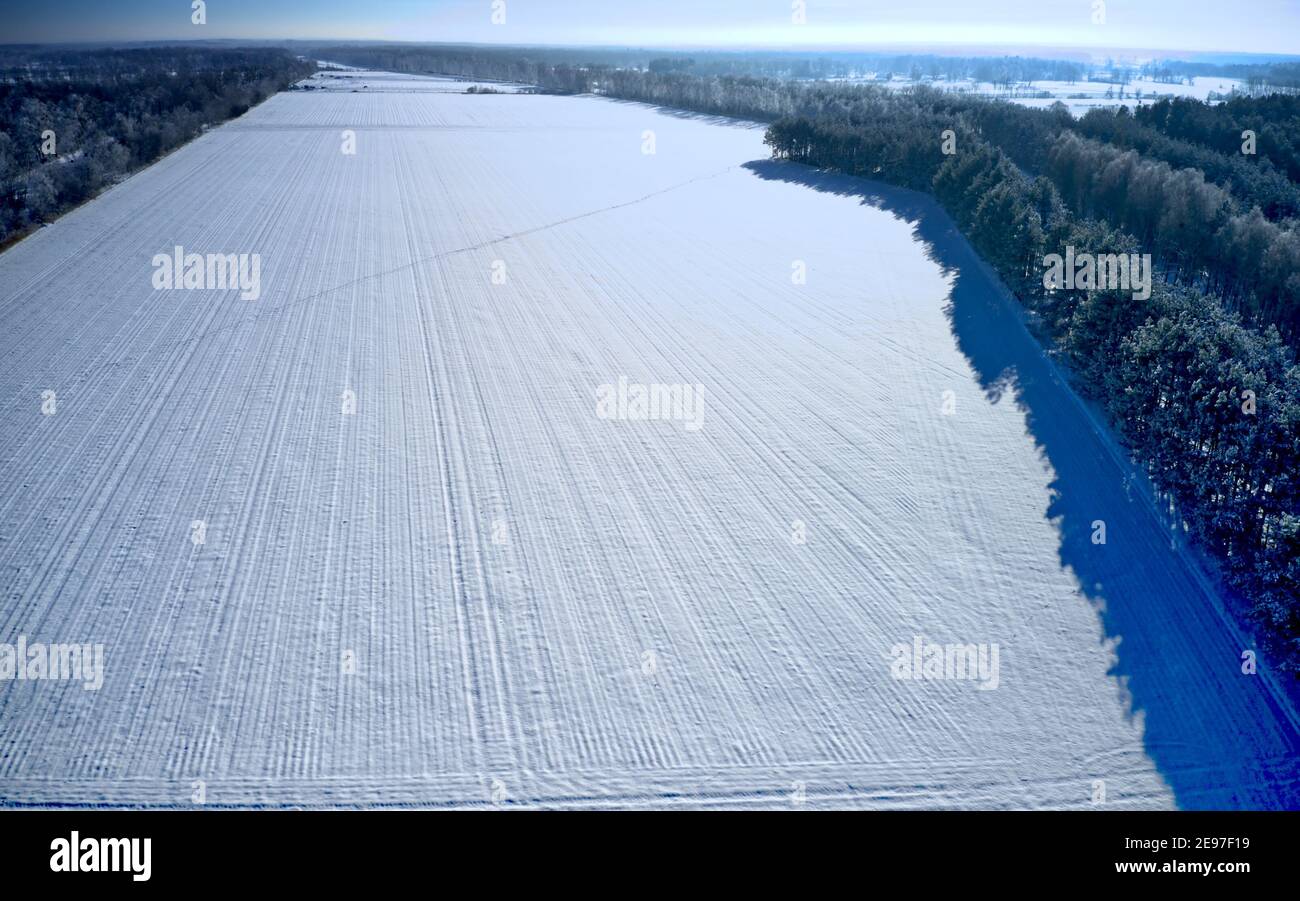 Vista monotona di un campo coperto di neve bianca senza elementi strutturali accanto a una striscia di foresta, foto aerea Foto Stock