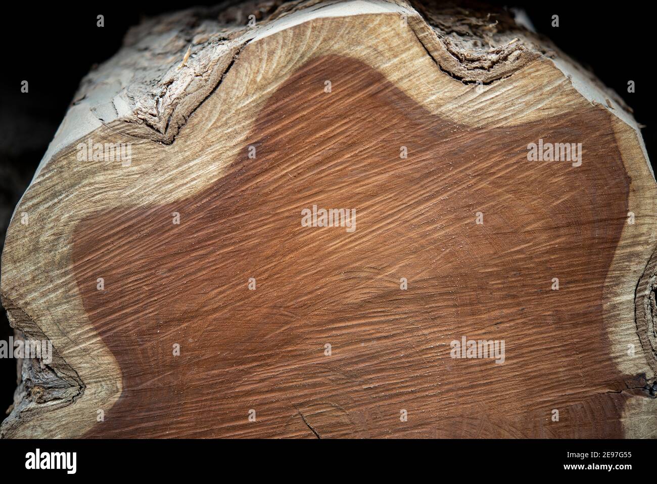 Due toni naturali albero taglio sfondo che lo rende interessante per banner. Foto Stock