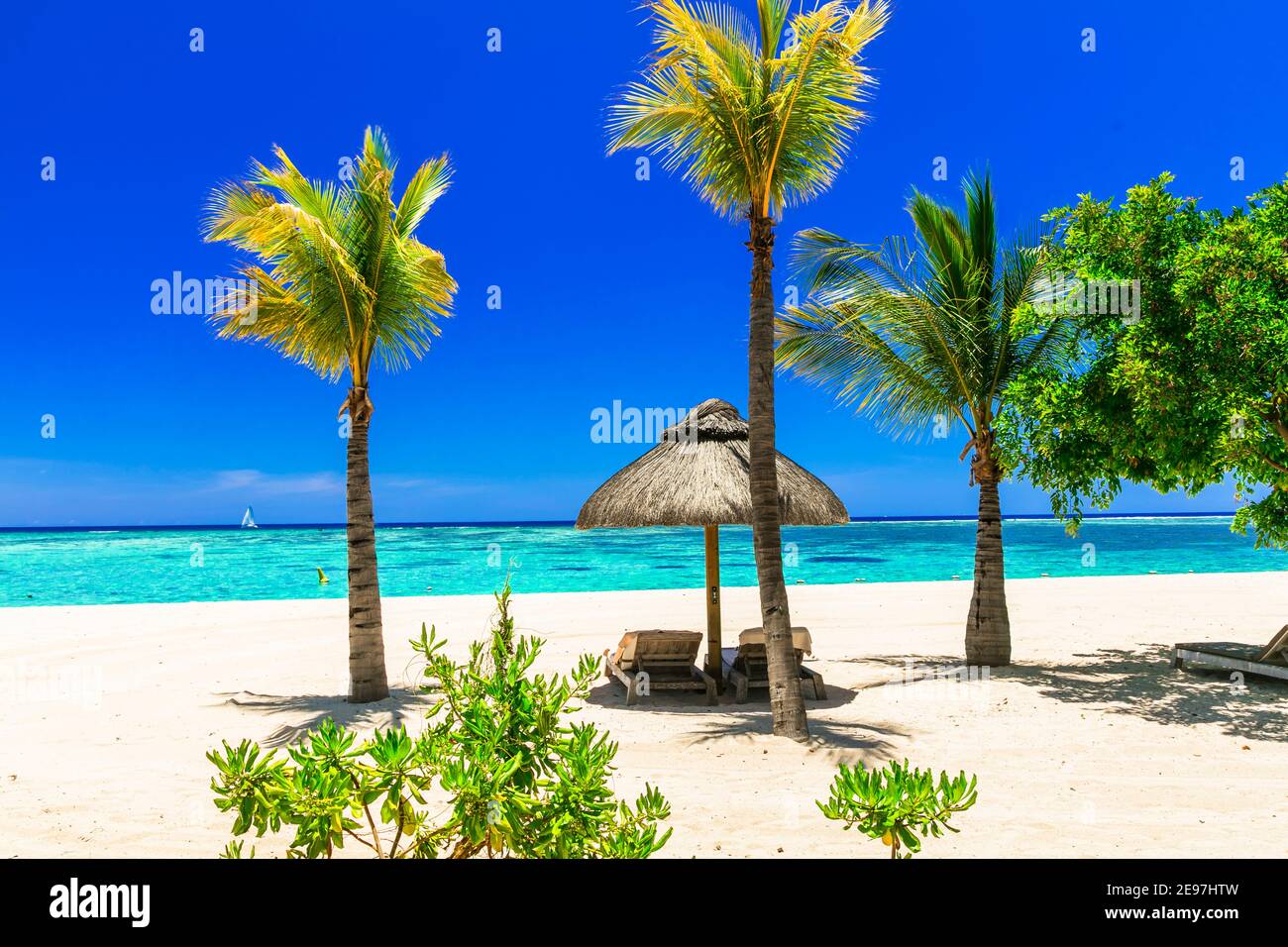 rilassante scenario tropicale sulla spiaggia, con sedie a sdraio sotto le palme Foto Stock