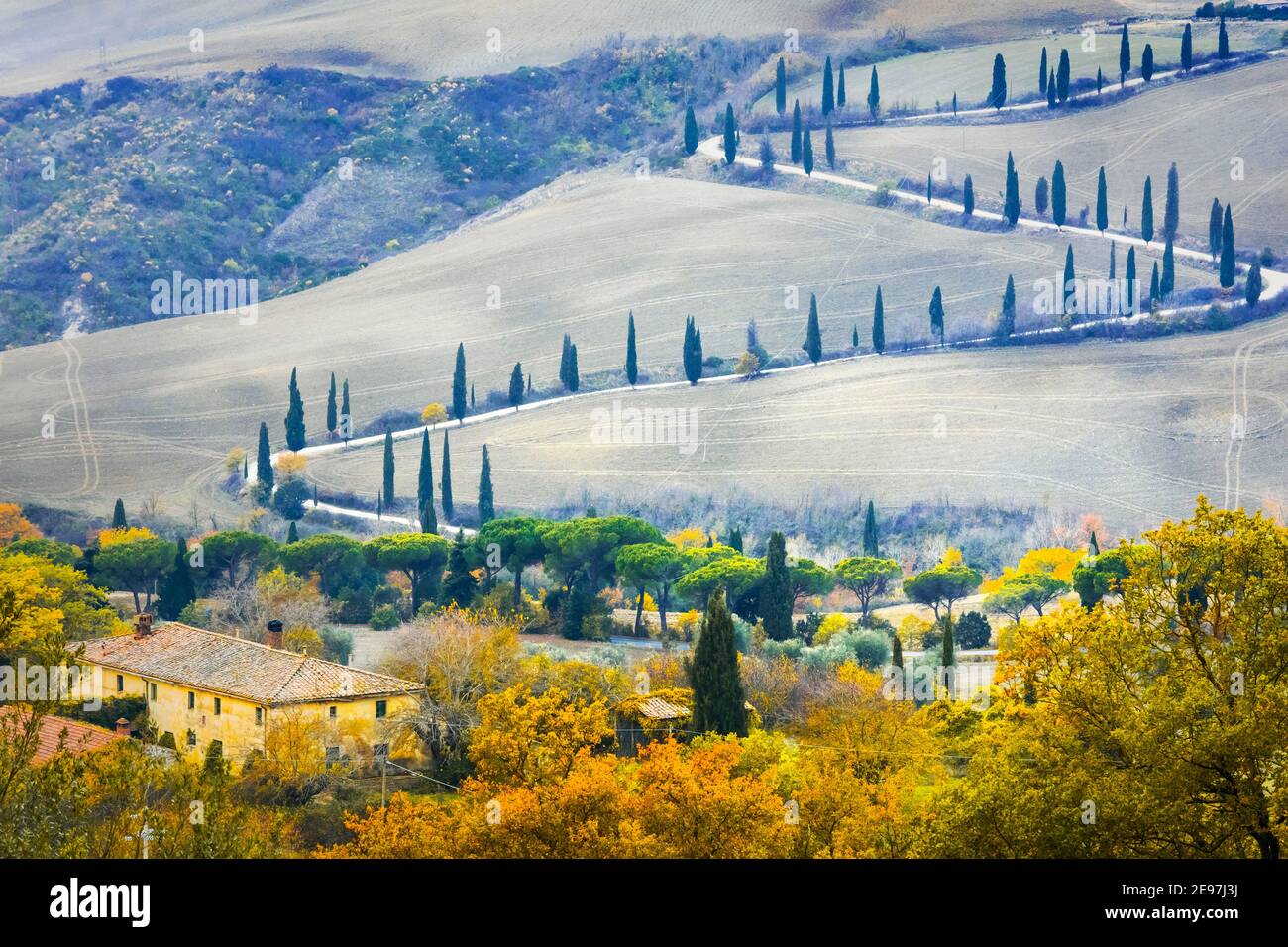 Bella campagna toscana - strada tortuosa con cipressi. Italia Foto Stock