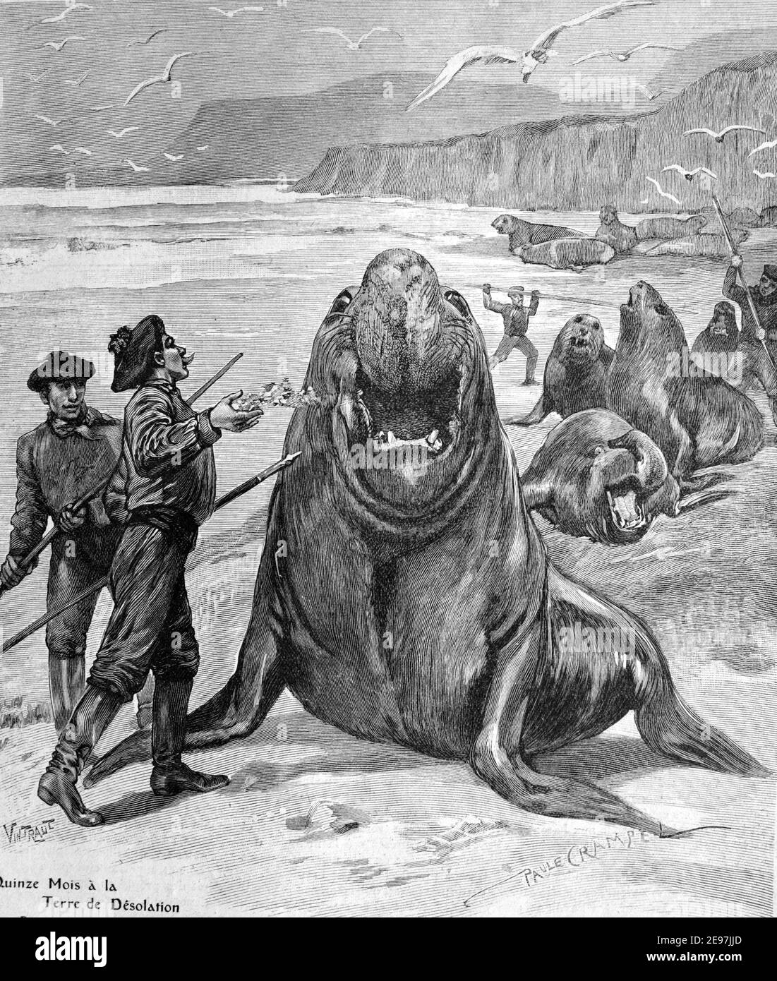 Cacciatori Caccia le foche dell'Elefante Meridionale, Mirounga leonina, o Caccia alle foche sull'isola di desolazione, nello stretto di Magellan, Cile. 1911 Illustrazione o incisione vintage Foto Stock