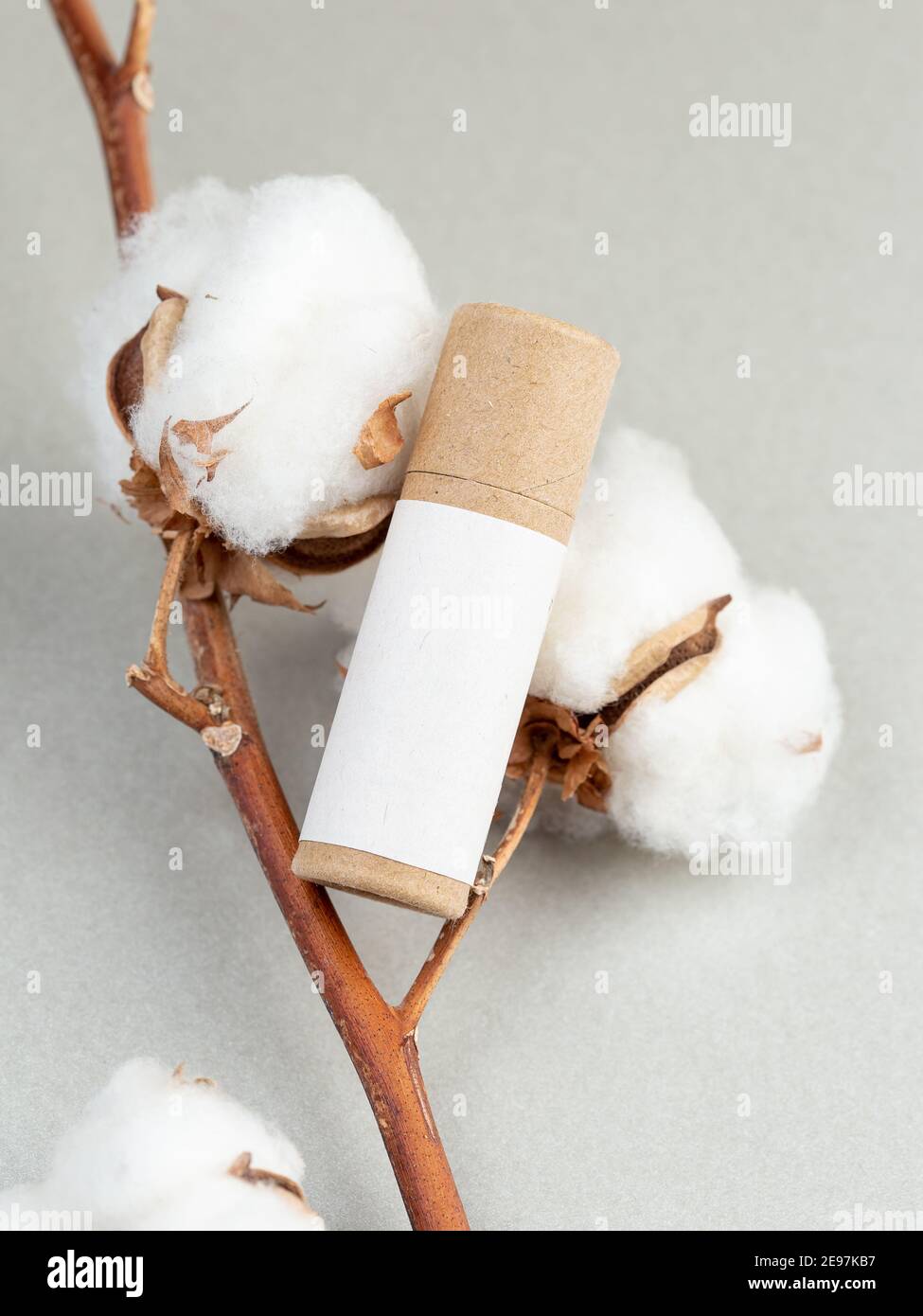 Confezione con lipstick per rifiuti zero. Tubo balsamo a labbro in carta. Concetto di make up senza plastica Foto Stock