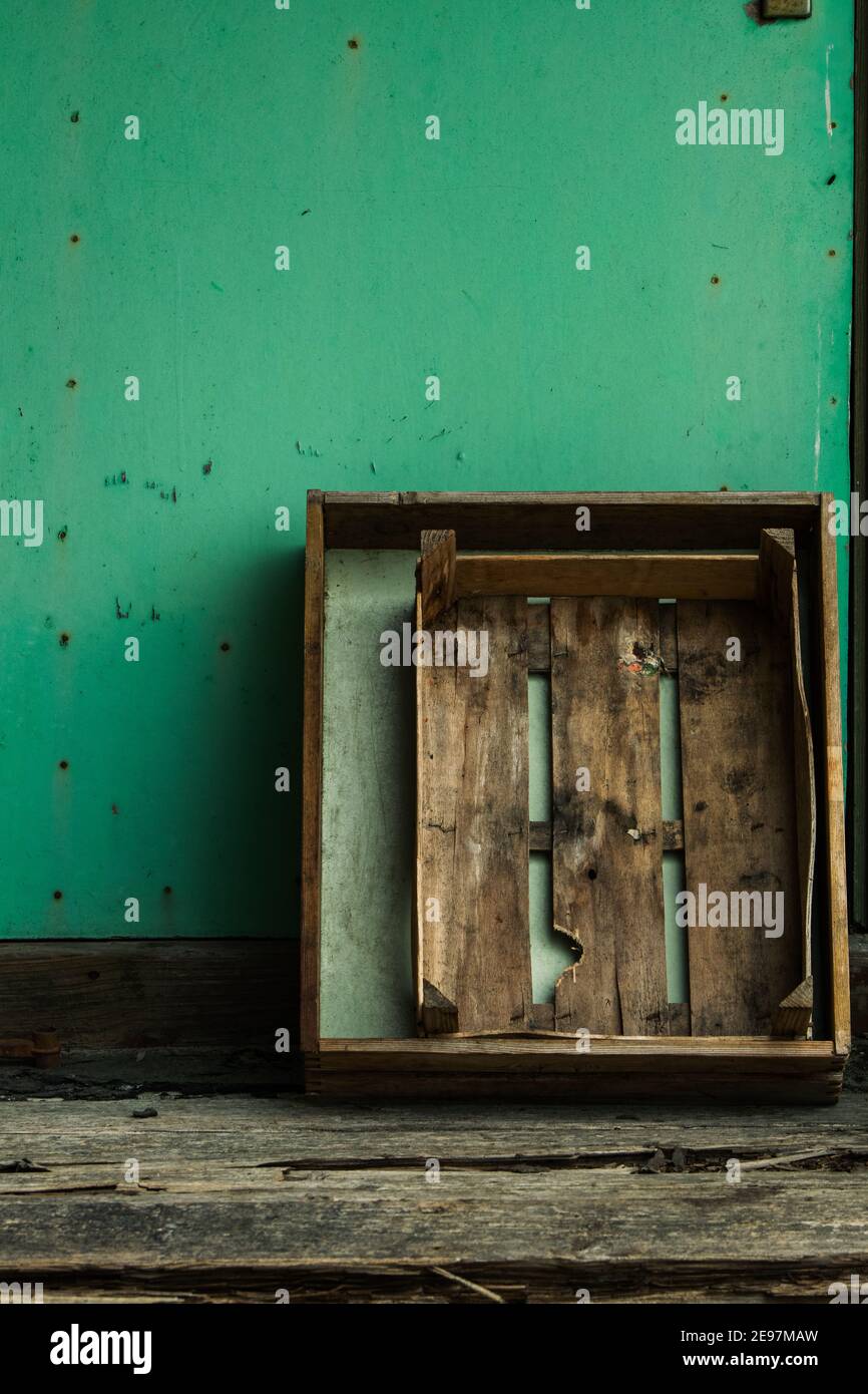 Consigli e trucchi per il giardinaggio. Accessori per il giardinaggio. Foto Stock