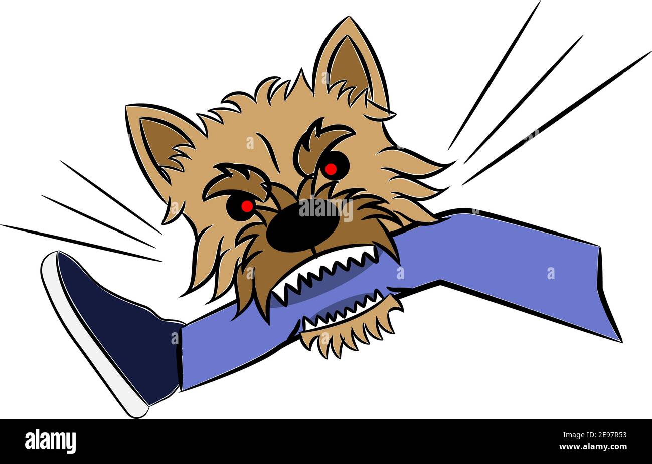 Norwich terrier cane mordere gamba umana illustrazione schizzo isolato su bianco Illustrazione Vettoriale