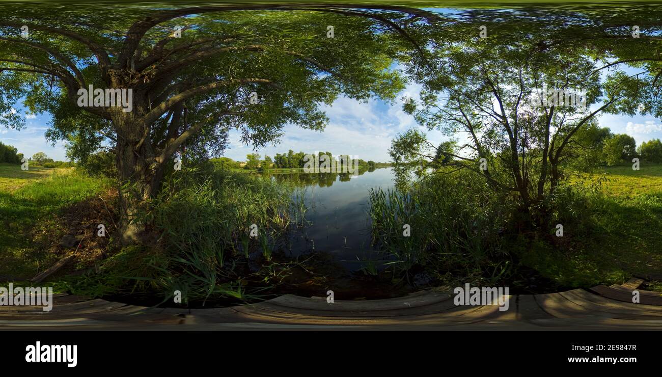 Paesaggio estivo con acque tranquille del lago sotto il baldacchino di alberi in una giornata di sole. Paesaggio rurale del lago e cielo blu. 360VR. Foto Stock